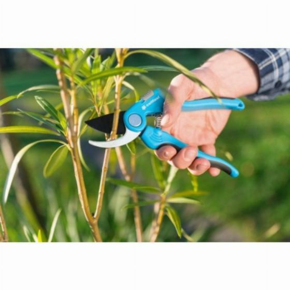 Sécateur lame franche ideal