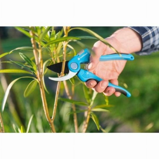 Sécateur lame franche ideal