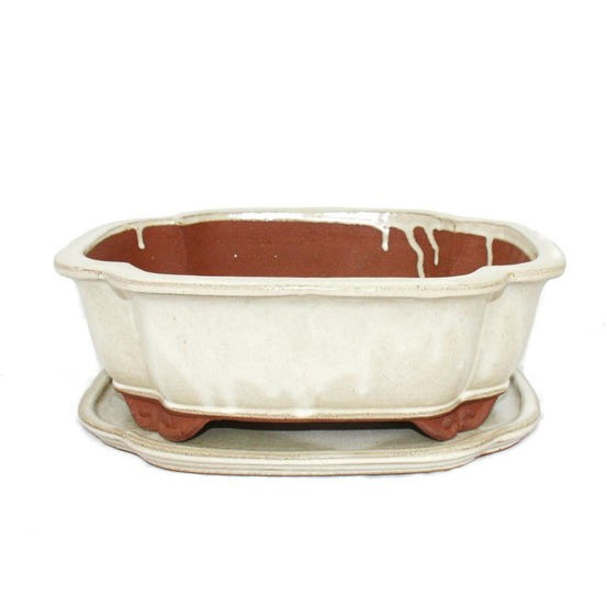 Bol bonsaï avec soucoupe taille 5 - haitang i4 - beige clair - l 31,5cm - b 26cm - h 11cm