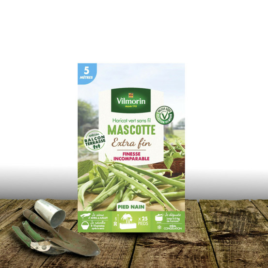 Graines de haricot nain mangetout mascotte - vilmorin boite - 10 mètres