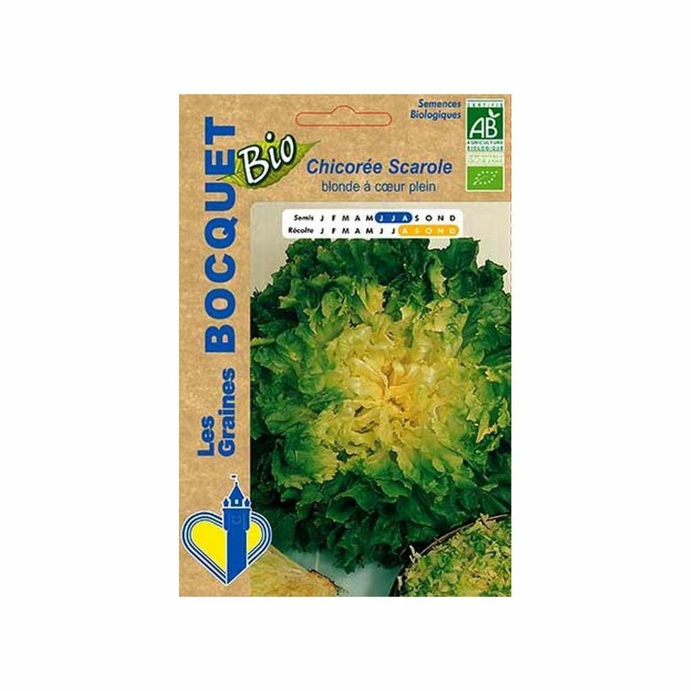 ChicorÃ©e Scarole blonde Ã  coeur plein certifi