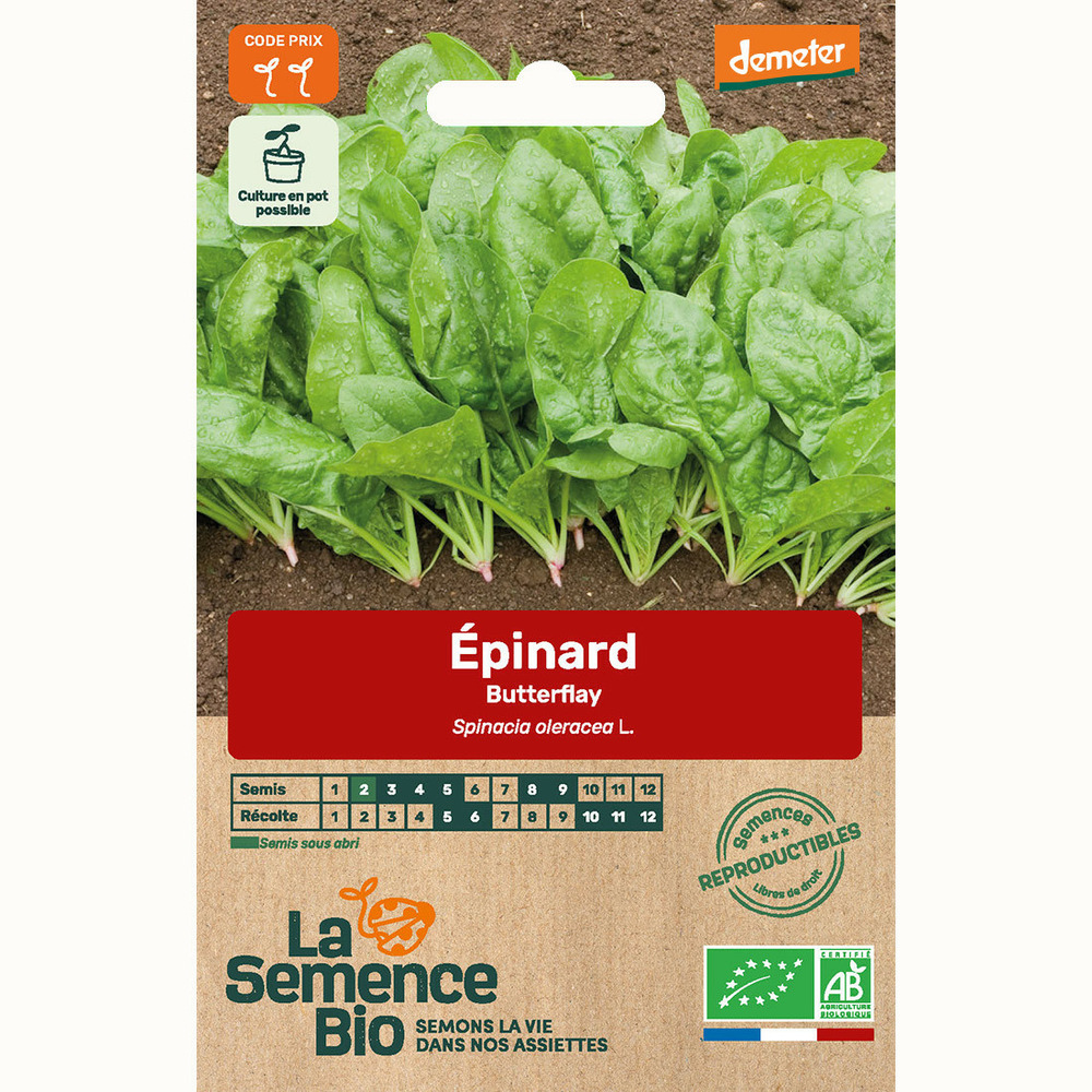 Épinard butterflay - graines bio