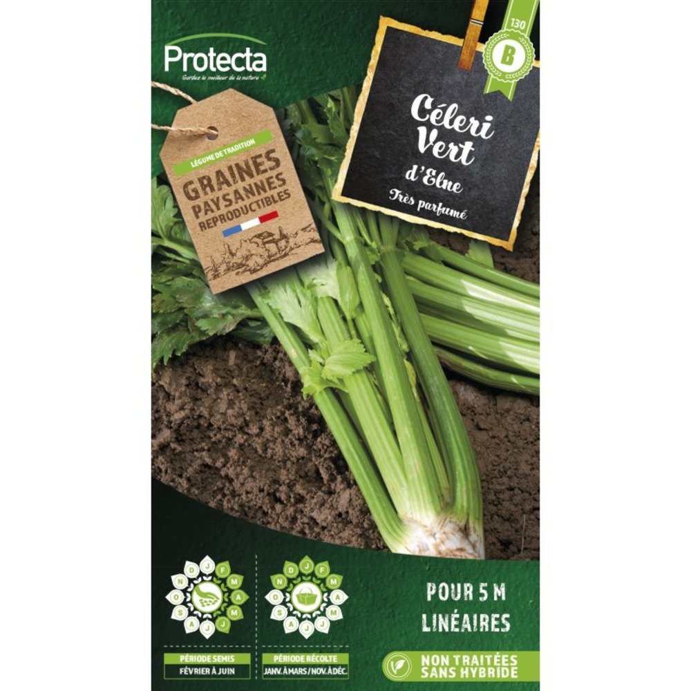 Graines paysannes - céleri branche d'elne
