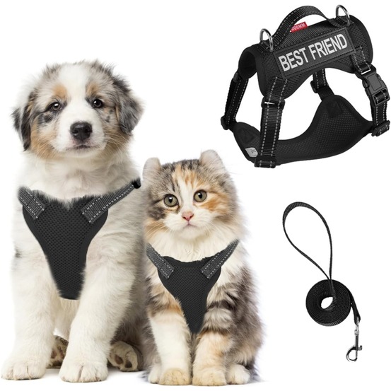 Harnois de promenade pour chat xl