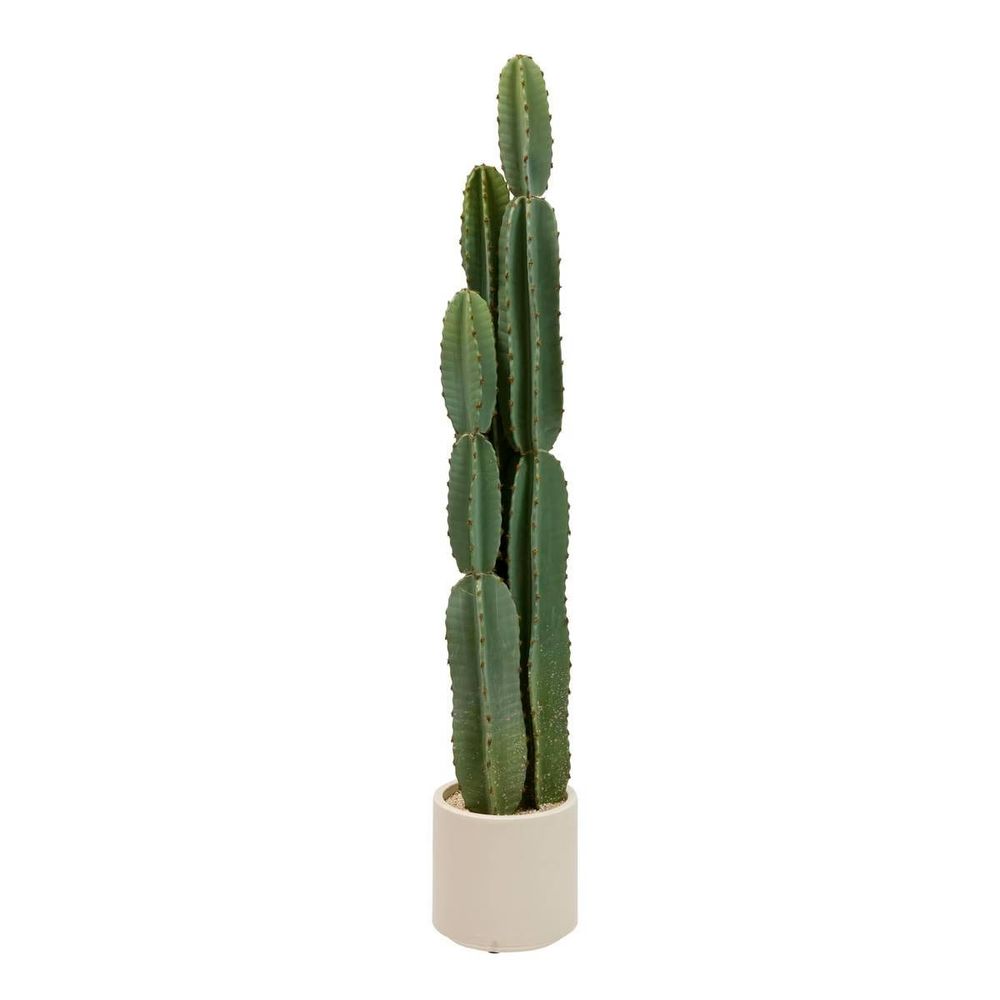 Cactus 3 troncs en pot 