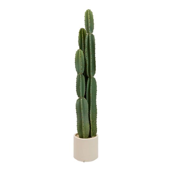 Cactus 3 troncs en pot