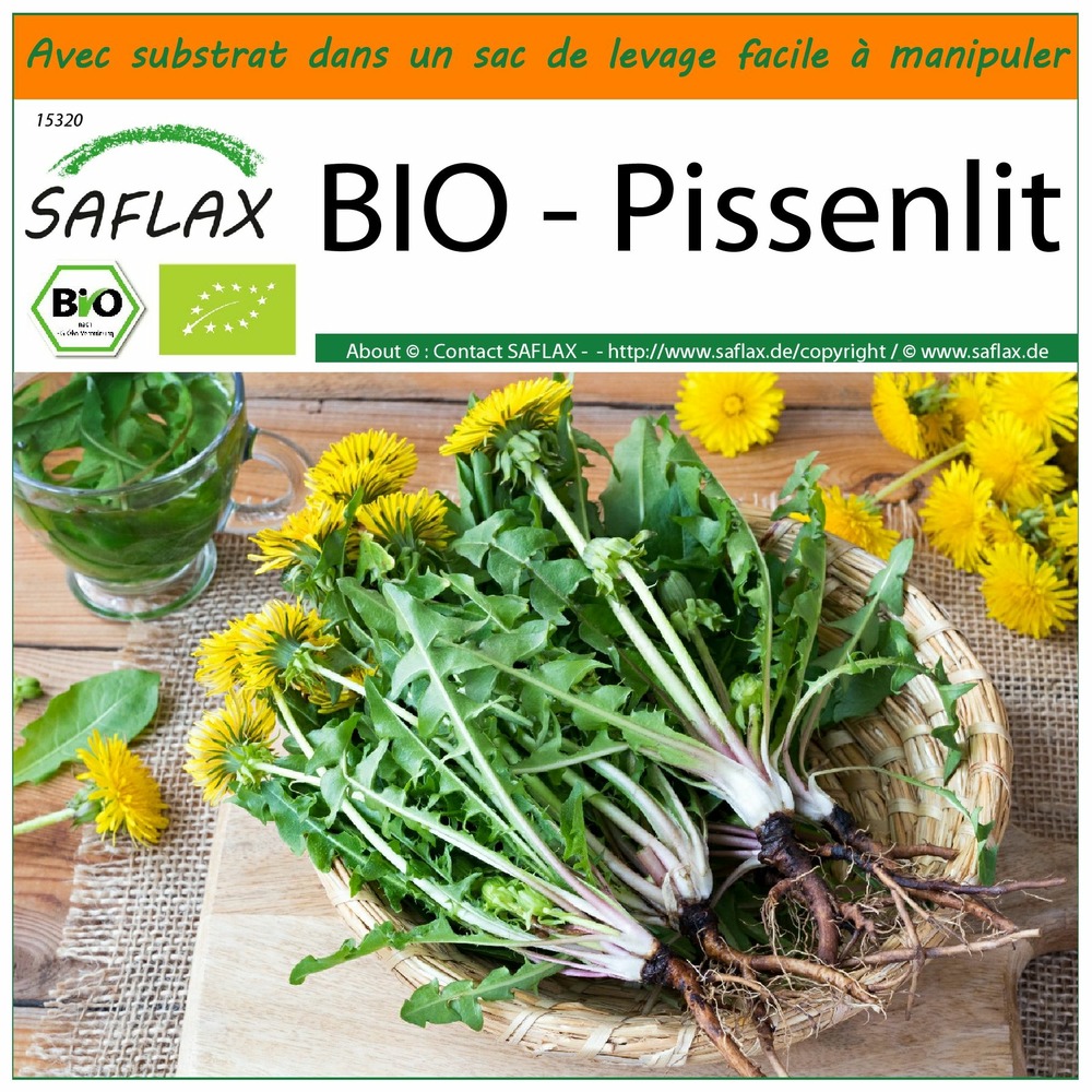 Garden in the bag - bio - pissenlit - 400 graines - taraxacum officinale