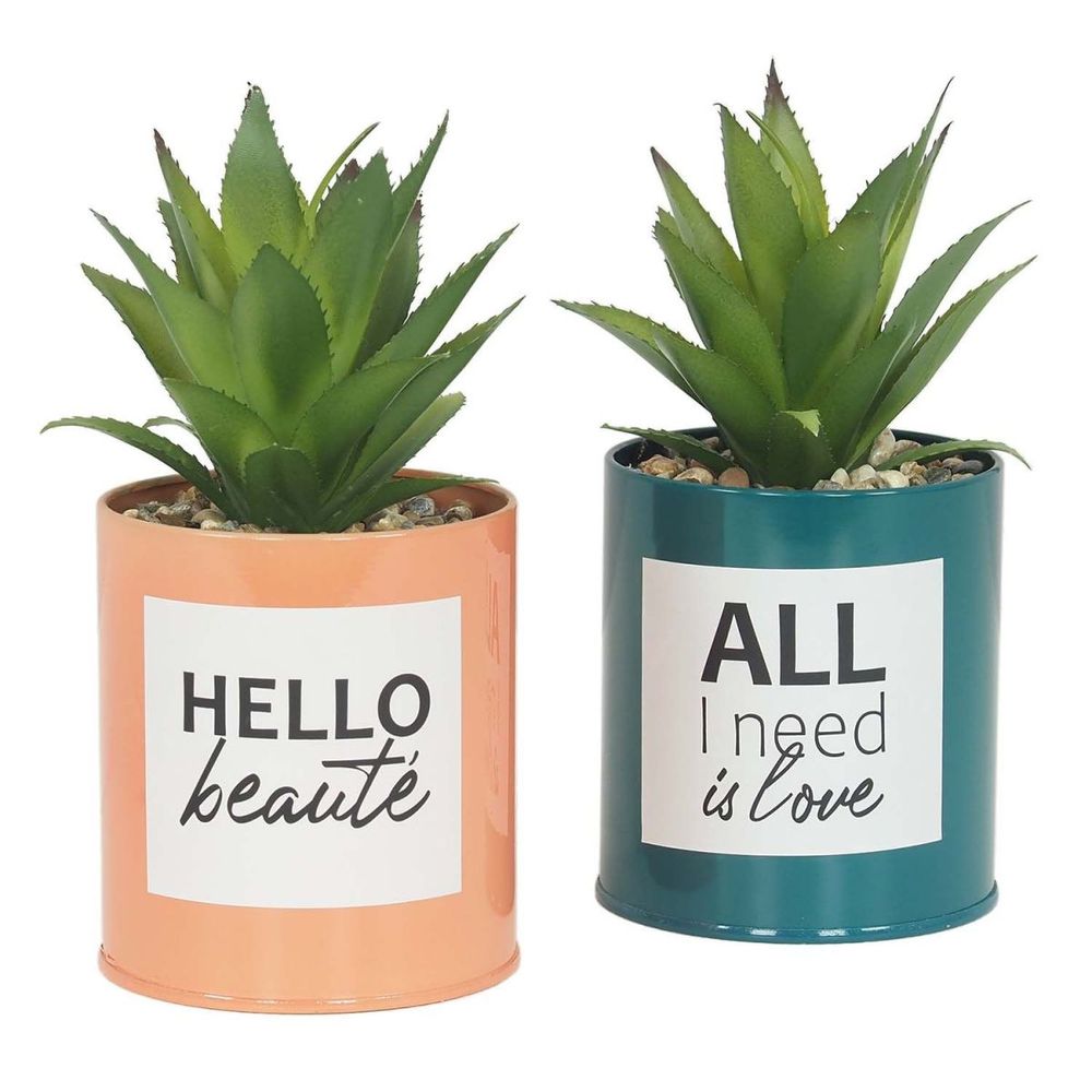 Succulentes artificielles dans pots à message 17 cm (lot de 2)