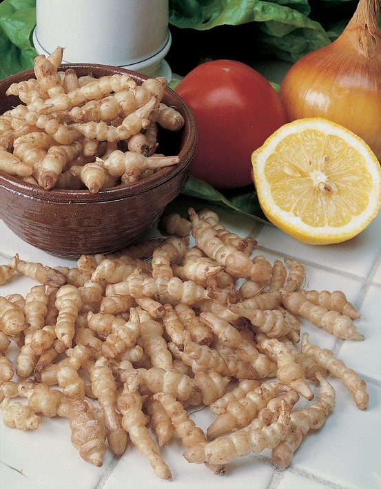 Crosne du japon - 50 g