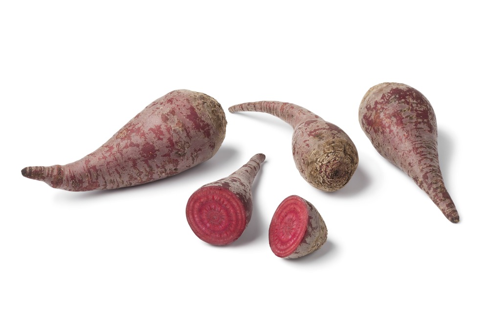 Sachet de graines de betterave crapaudine - sachet de 6 grammes - petite entreprise française