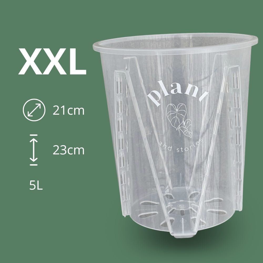 Pot aracées transparent - pot de culture transparent pour plantes - pot de 21cm - x10 unités