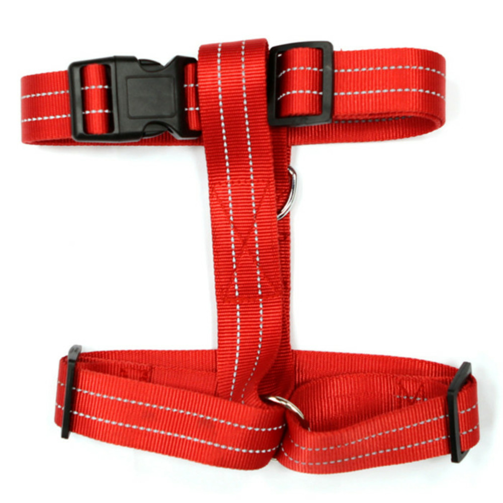 Harnais pour chien 