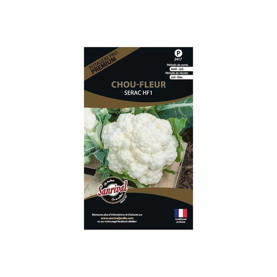 Graines potagères premium chou chou fleur blanc serac