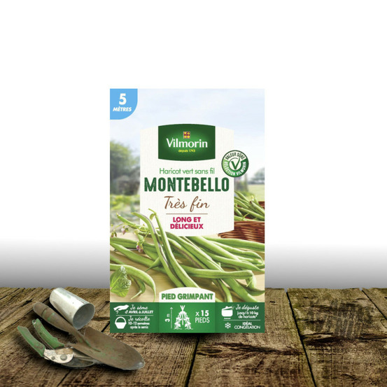 Graines de haricot grimpant montebello - vilmorin boite - 5 mètres