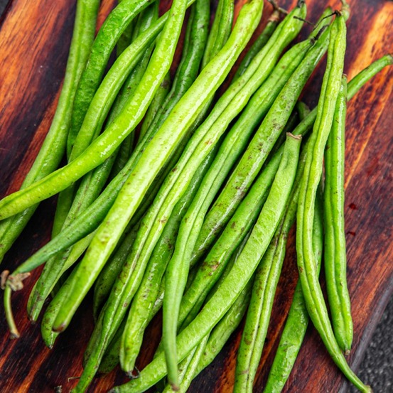 Haricot mangetout 'processor' le sachet de 250 graines environ (100g)