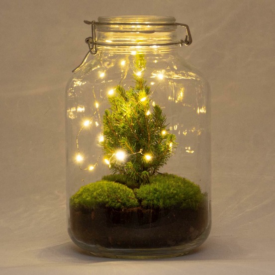 Diy terrarium - jar christmas - h28 cm