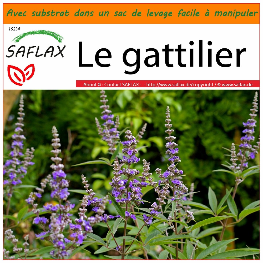 Garden in the bag - le gattilier - 30 graines - vitex agnus-castus
