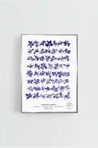 Herbier dauphinelle violette cadre silver