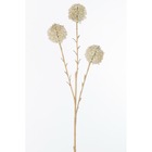 Branche 3 fleurs pompons en plastique crème 5x12x66 cm
