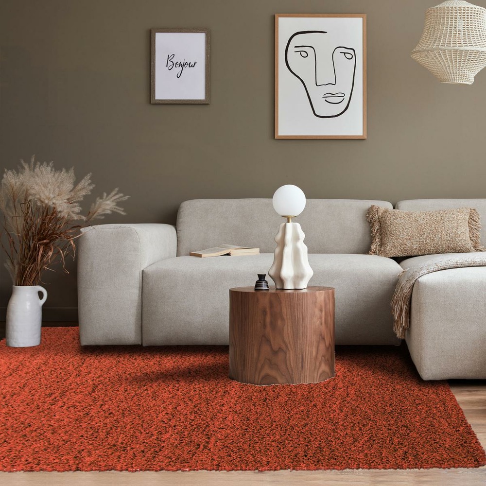 Tapis poils longs shaggy ø160cm rond tissé terra motif uni uni l