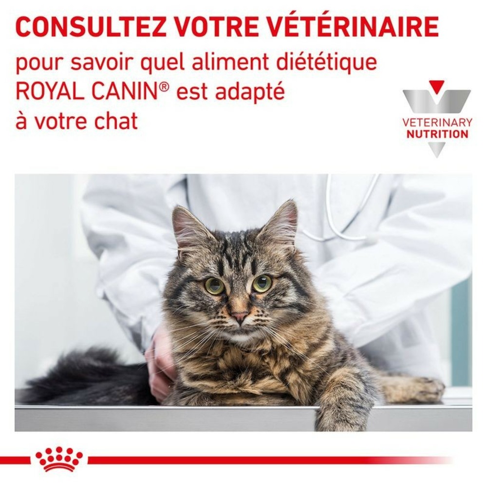Croquettes chat veterinary cat renal special - royal canin 4 kg