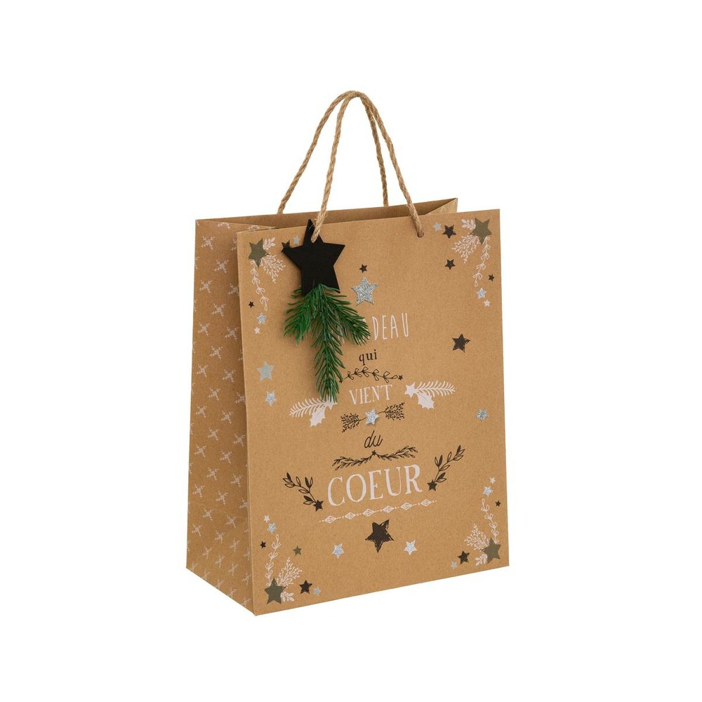 Sac cadeau branche et étoile bois moyenne taille kraft