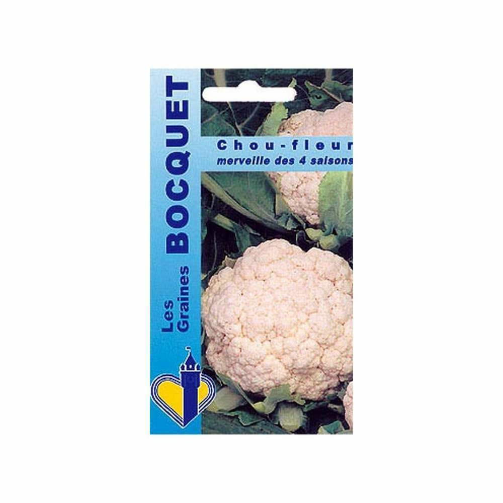 Graines de chou fleur merveille de toutes saisons