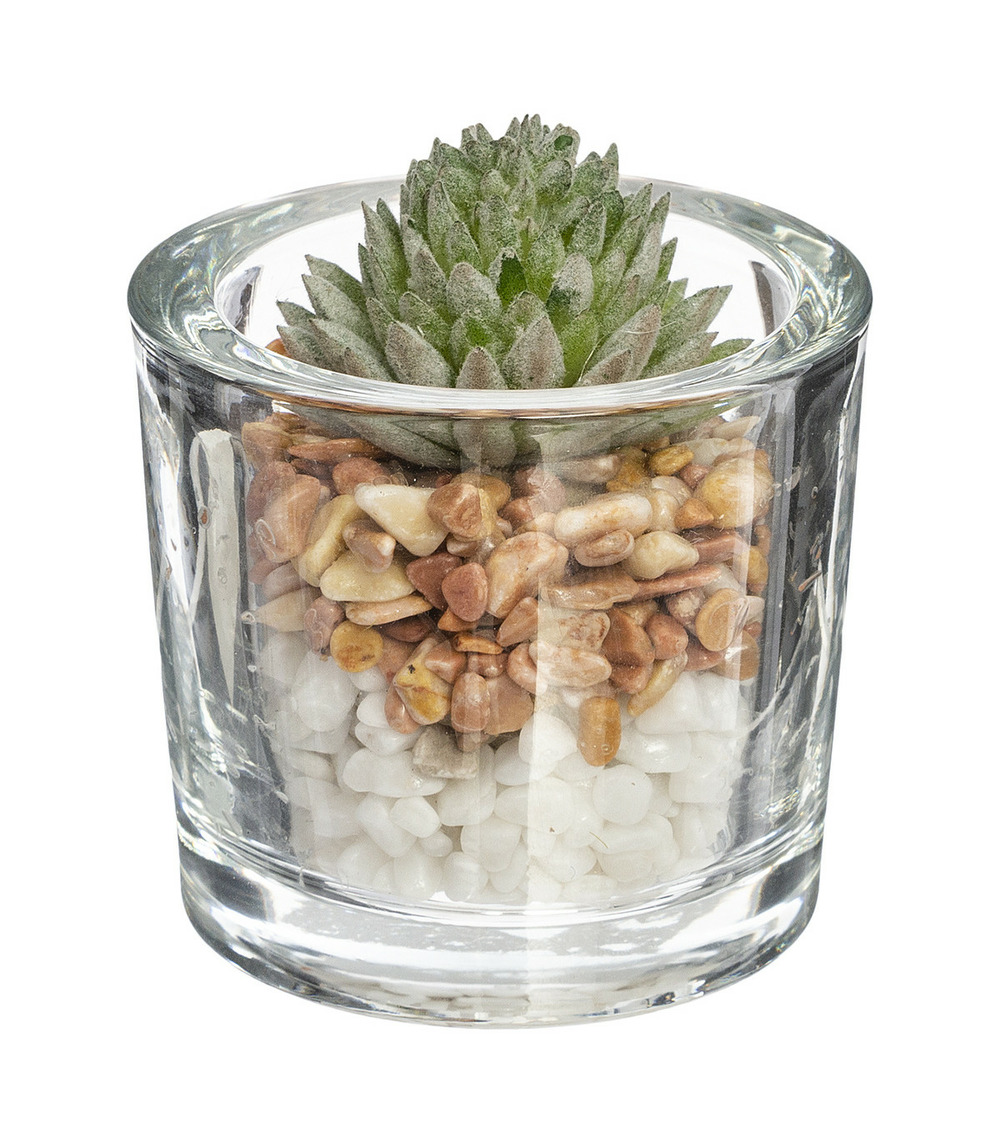 Plante grasse artificielle pot en verre d 6,5 x h 10 cm