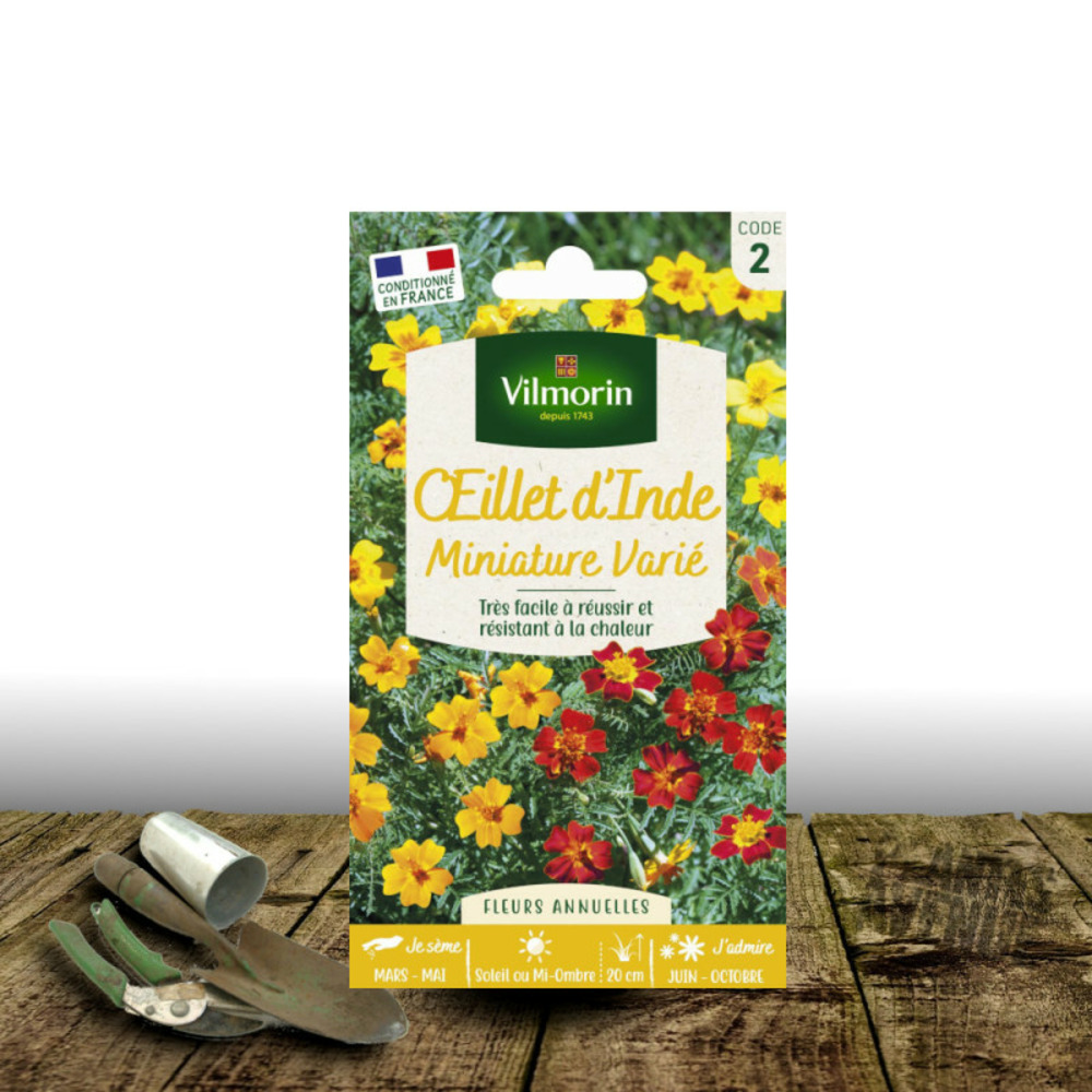 Graines d'oeillet d'inde miniature mélange - vilmorin sachet