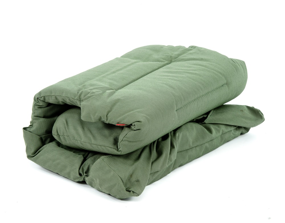 Coussin moelleux pour relax FIESTA - en oléfine Vert sauge L.124xl.65cm