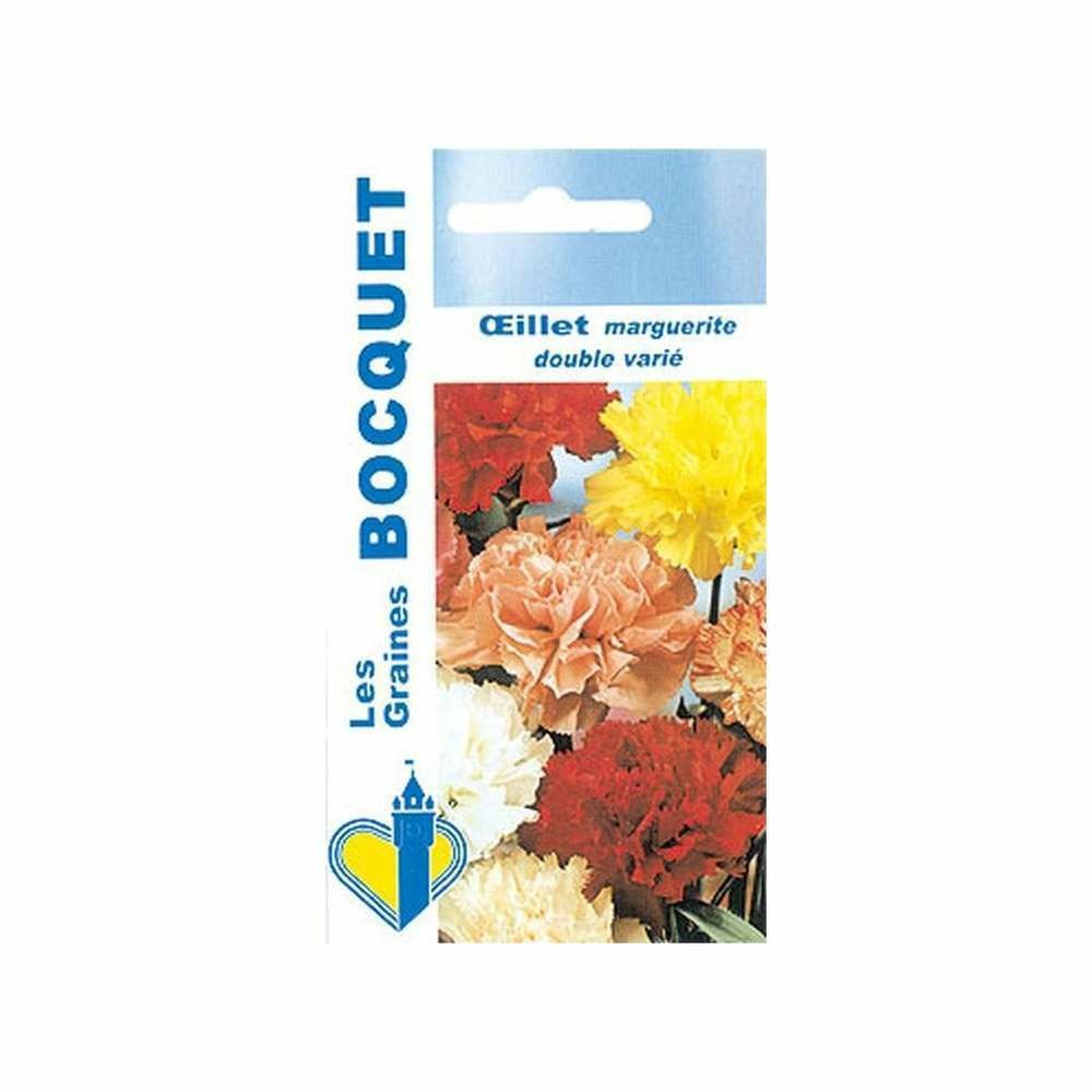 Oeillet marguerite annuel variÃ©