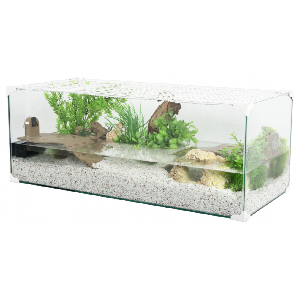 Colle silicone Spécial aquarium - Zolux- Transparent - 80 ml Zolux