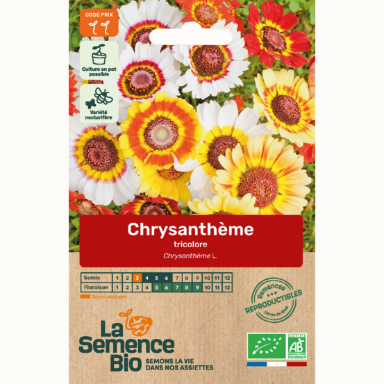 Chrysanthème tricolore - graines bio