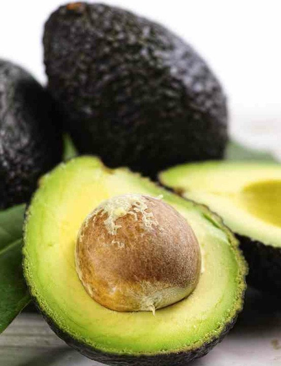 Avocatier : persea americana var. Hass (de greffe) pot de 25l - 180/200cm