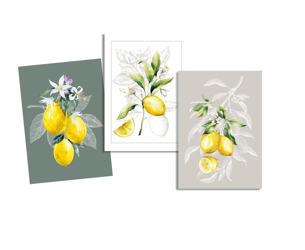 Lot de 3 torchons citron