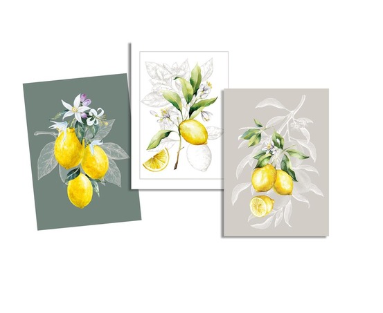 Lot de 3 torchons citron