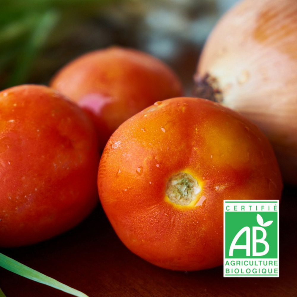 Graines de tomate matina - sans traitement - vilmorin sachet