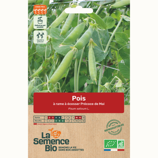 Pois à écosser à rame précoce de mai - graines bio