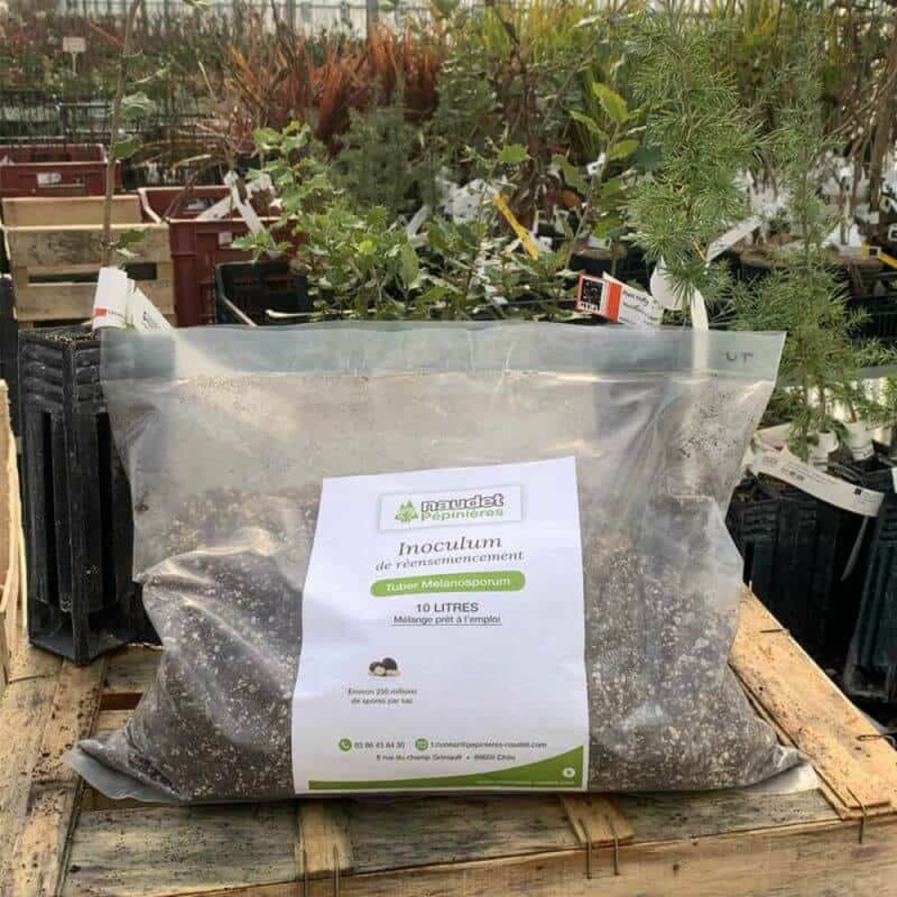 Substrat réensemencement tuber melanosporum sac de 10 litres