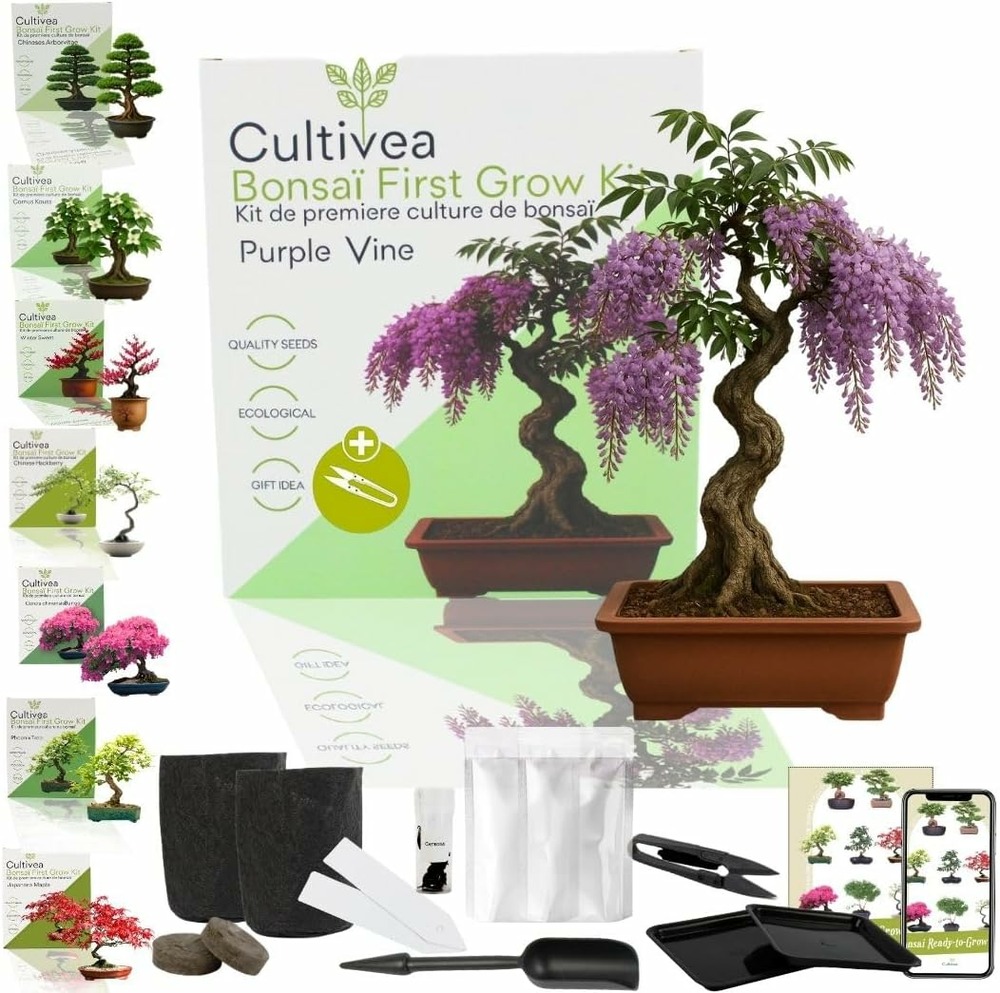 Kit first bonsai purple vine avec accesoires