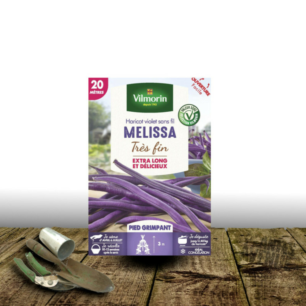 Graines de haricot grimpant violet mélissa - vilmorin sachet - 20 mètres