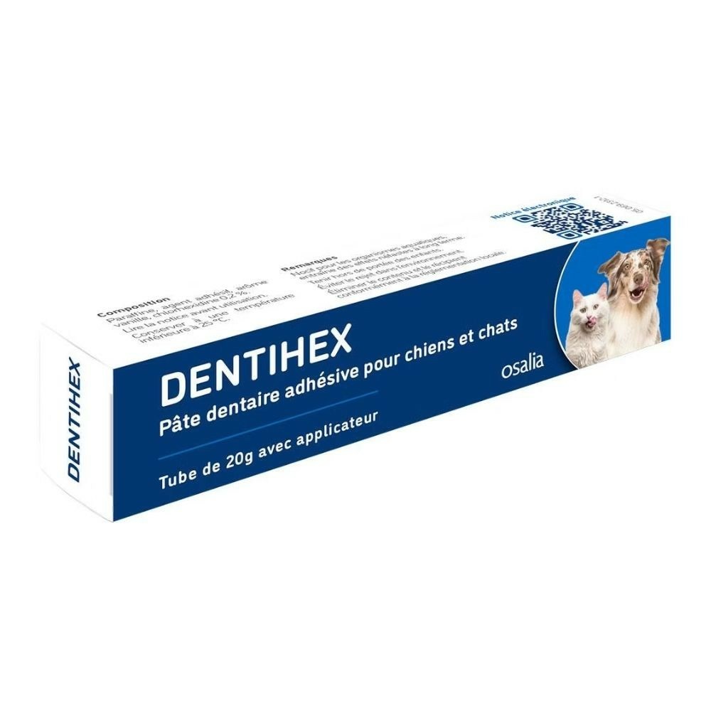 Dentihex avec applicateur 60