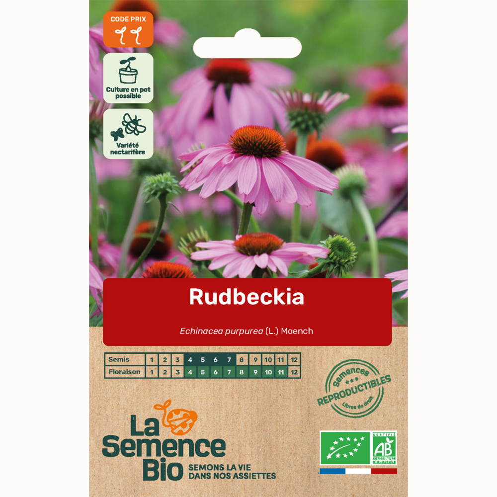 Rudbeckia - graines bio