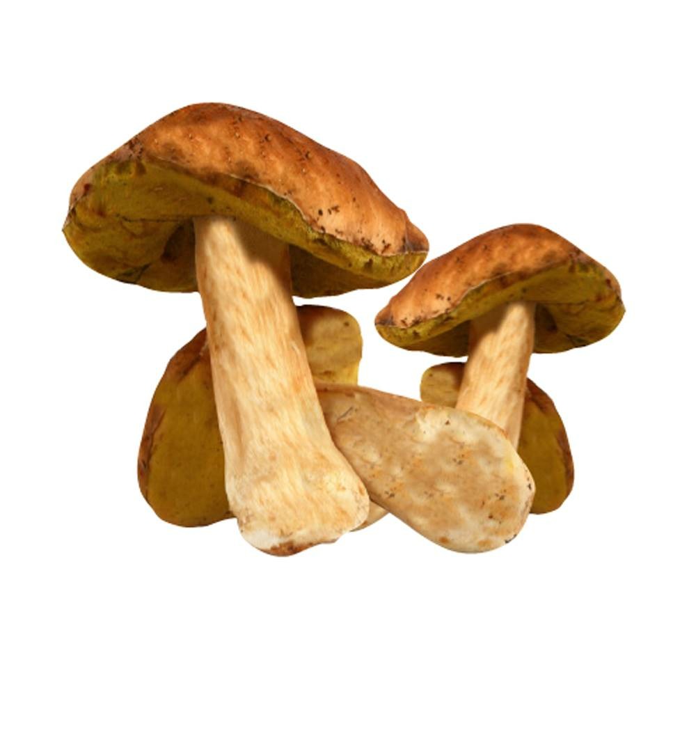Cepes super extra - le bocal de 225 g