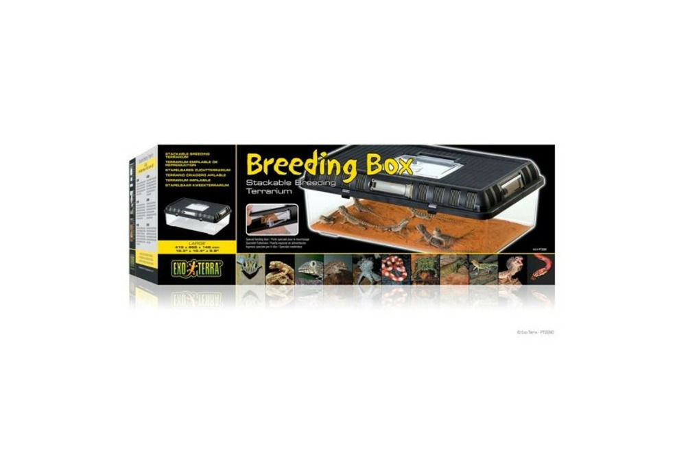 Breeding box pour reptiles