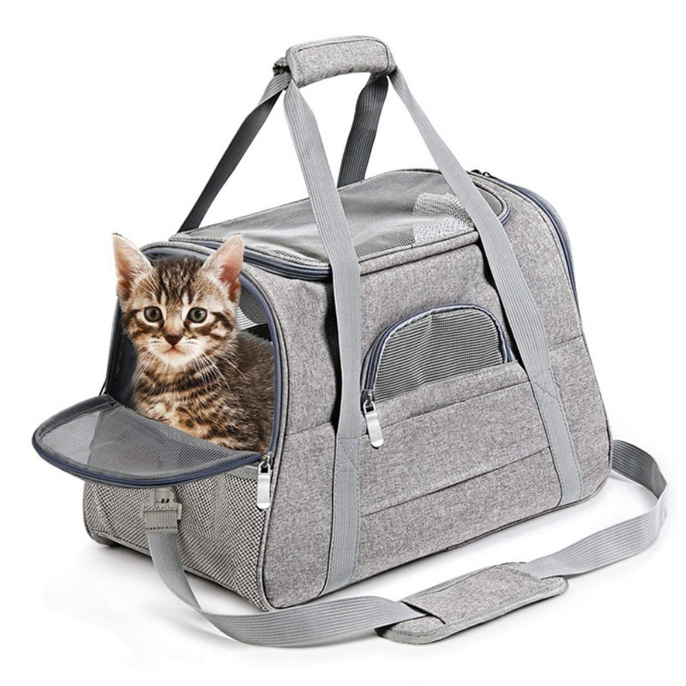Sac à dos de chat portable et respirant pour sorties petit downypaws