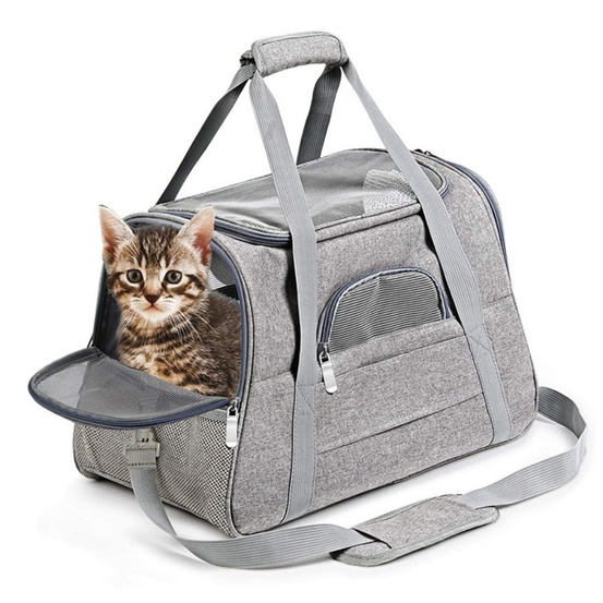 Sac à dos de chat portable et respirant pour sorties petit downypaws