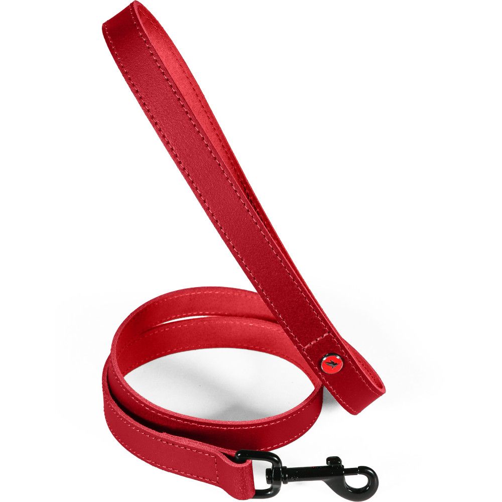 Laisse pour chien en cuir européen, longueur 1 m, sangle 20 mm - zolux (gre