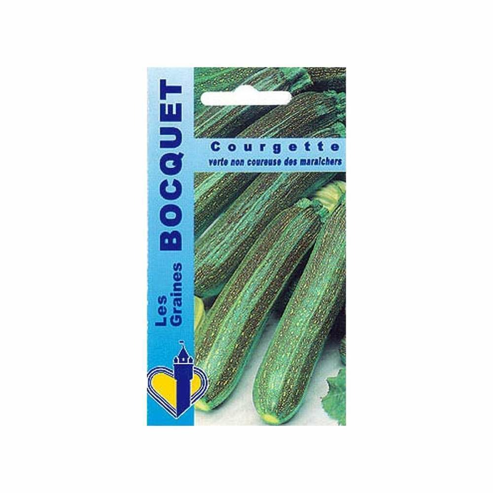 Graines de courgette verte non coureuse des maraichers