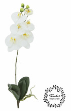 Lot de 3 tiges d'Orchidées blanches + feuilles 'toucher naturel' 60cm